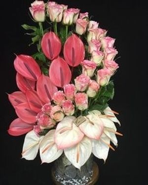 Image chosen by user