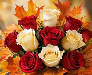 Image chosen by user