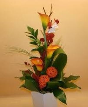 Image chosen by user