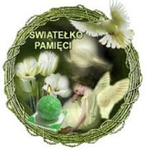 Image chosen by user