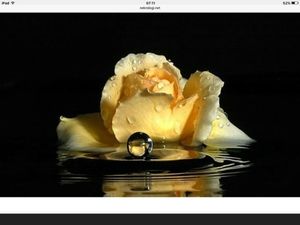 Image chosen by user