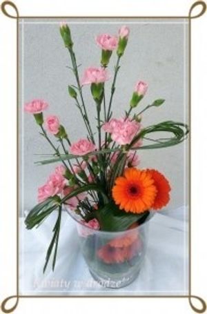 Image chosen by user