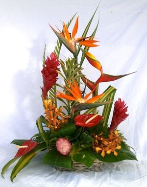 Image chosen by user