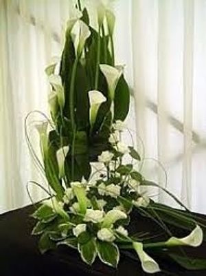 Image chosen by user