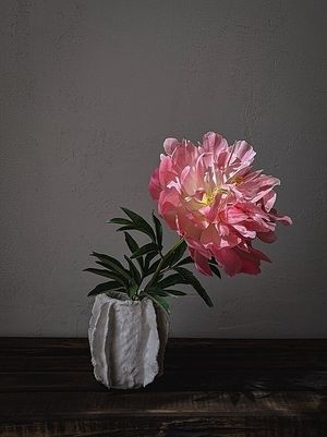 Image chosen by user