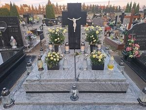 Image chosen by user