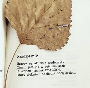 Obrazek wybrany przez użytkownika