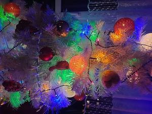 Image chosen by user