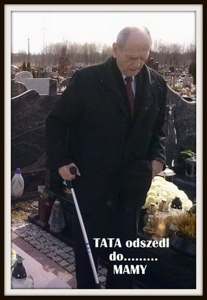 Obrazek wybrany przez użytkownika