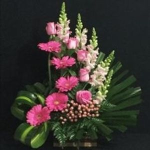 Image chosen by user