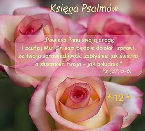 Obrazek wybrany przez użytkownika