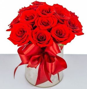 Image chosen by user
