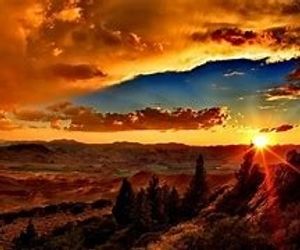 Image chosen by user