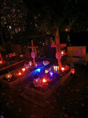 Obrazek wybrany przez użytkownika
