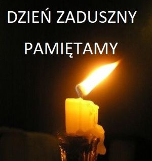 Obrazek wybrany przez użytkownika