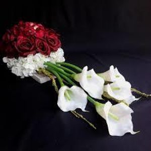 Image chosen by user