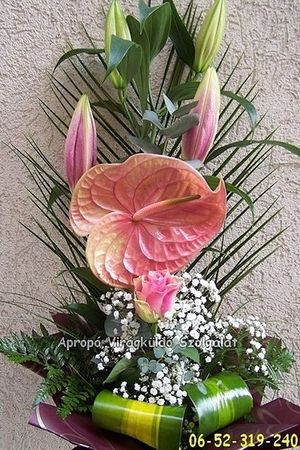 Image chosen by user