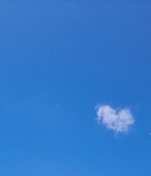 Image chosen by user