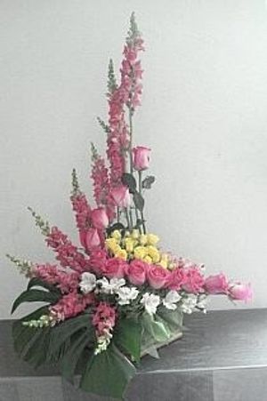 Image chosen by user