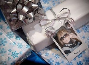 Image chosen by user