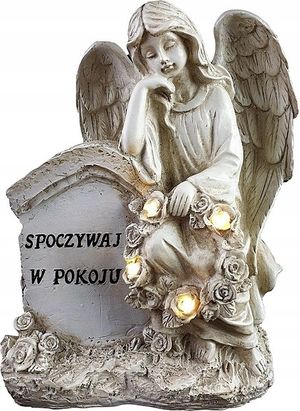 Image chosen by user