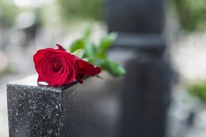 Obrazek wybrany przez użytkownika