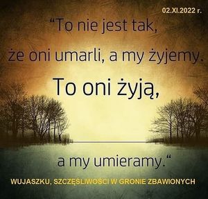 Obrazek wybrany przez użytkownika
