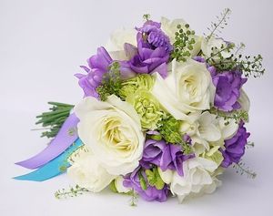 Image chosen by user