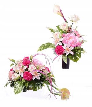 Image chosen by user