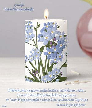 Obrazek wybrany przez użytkownika