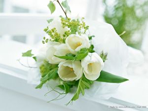Image chosen by user