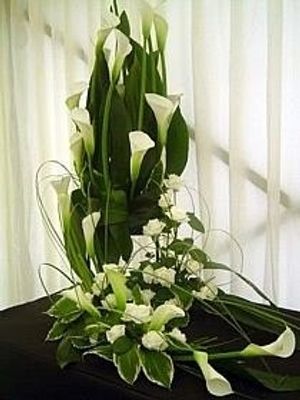 Image chosen by user