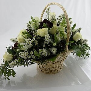 Image chosen by user