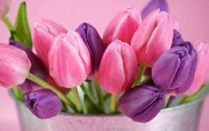 Image chosen by user