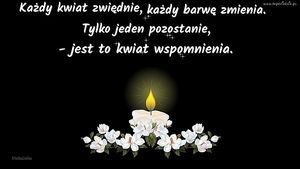 Obrazek wybrany przez użytkownika