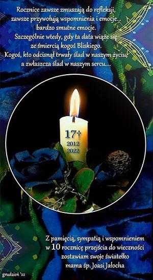 Obrazek wybrany przez użytkownika