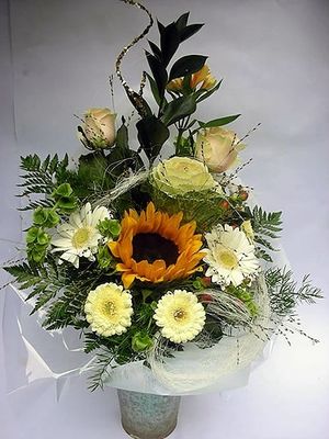 Image chosen by user