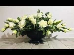 Image chosen by user