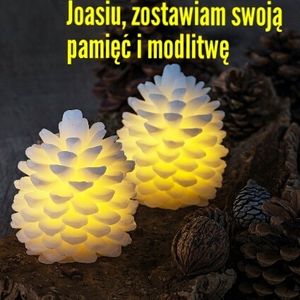 Image chosen by user