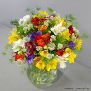 Image chosen by user