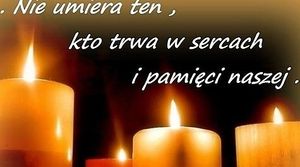 Obrazek wybrany przez użytkownika