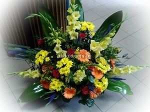 Image chosen by user