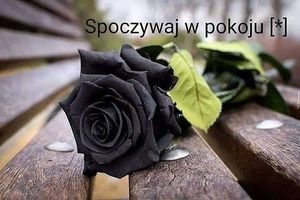 Image chosen by user