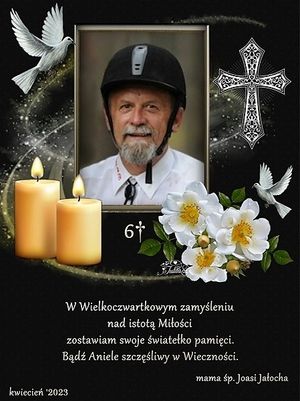Obrazek wybrany przez użytkownika