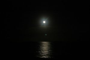 Image chosen by user