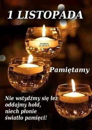 Obrazek wybrany przez użytkownika