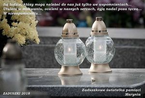 Image chosen by user