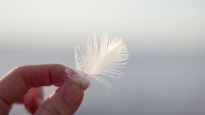 Image chosen by user