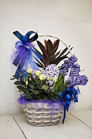 Image chosen by user