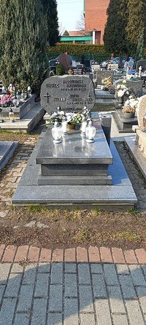 Obrazek wybrany przez użytkownika
